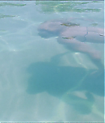 Filename=0427.jpg
Filesize=473KiB
Dimensions=1920x1040
Date added=Jul 27, 2020 0427.jpg