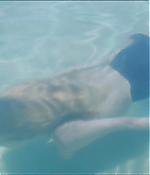 Filename=0429.jpg
Filesize=460KiB
Dimensions=1920x1040
Date added=Jul 27, 2020 0429.jpg