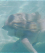 Filename=0430.jpg
Filesize=461KiB
Dimensions=1920x1040
Date added=Jul 27, 2020 0430.jpg