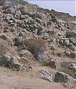 Filename=0482.jpg
Filesize=1055KiB
Dimensions=1920x1040
Date added=Jul 27, 2020 0482.jpg