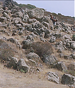 Filename=0483.jpg
Filesize=1045KiB
Dimensions=1920x1040
Date added=Jul 27, 2020 0483.jpg