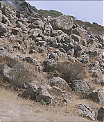 Filename=0484.jpg
Filesize=1001KiB
Dimensions=1920x1040
Date added=Jul 27, 2020 0484.jpg