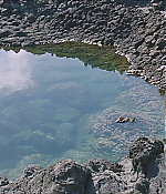 Filename=0544.jpg
Filesize=920KiB
Dimensions=1920x1040
Date added=Jul 27, 2020 0544.jpg