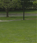 Filename=0095.jpg
Filesize=131KiB
Dimensions=1920x784
Date added=Jul 28, 2020 0095.jpg