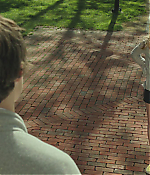 Filename=0118.jpg
Filesize=212KiB
Dimensions=1920x784
Date added=Jul 28, 2020 0118.jpg