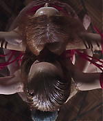 Filename=01139.jpg
Filesize=561KiB
Dimensions=1920x1040
Date added=Jul 27, 2020 01139.jpg