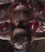 Filename=01140.jpg
Filesize=512KiB
Dimensions=1920x1040
Date added=Jul 27, 2020 01140.jpg