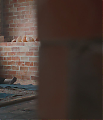 Filename=01236.jpg
Filesize=335KiB
Dimensions=1920x800
Date added=Jul 27, 2020 01236.jpg