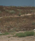 Filename=01450.jpg
Filesize=671KiB
Dimensions=1920x800
Date added=Jul 27, 2020 01450.jpg