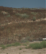 Filename=01451.jpg
Filesize=654KiB
Dimensions=1920x800
Date added=Jul 27, 2020 01451.jpg