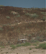 Filename=01452.jpg
Filesize=646KiB
Dimensions=1920x800
Date added=Jul 27, 2020 01452.jpg