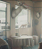 Filename=0158.jpg
Filesize=474KiB
Dimensions=1920x808
Date added=Jul 27, 2020 0158.jpg