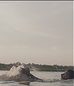 Filename=0406.jpg
Filesize=267KiB
Dimensions=1920x808
Date added=Jul 27, 2020 0406.jpg