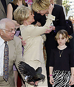 Filename=009.jpg
Filesize=319KiB
Dimensions=1252x2048
Date added=Aug 04, 2020 009.jpg